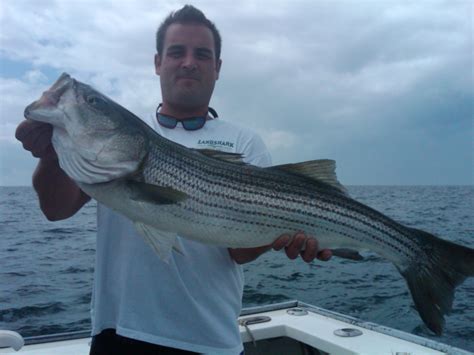 stripers online fishing forum massachusetts|Striper Fishing from Shore on Cape Cod Massachusetts. is it .